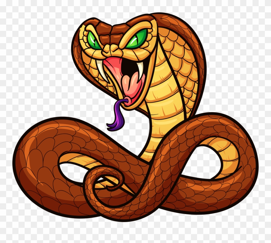 Detail Snake Vector Png Nomer 34