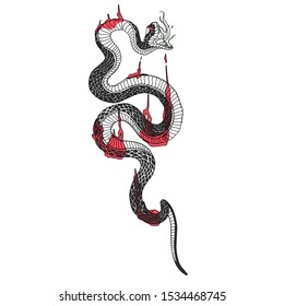 Detail Snake Vector Png Nomer 36