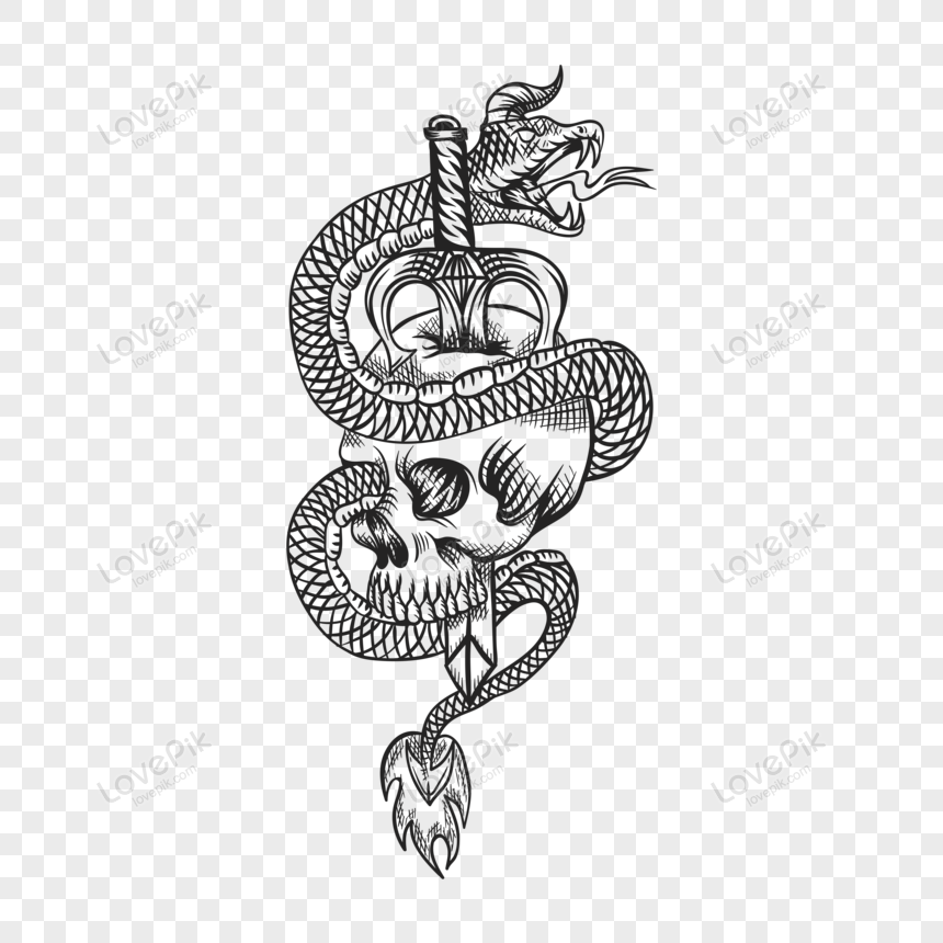 Detail Snake Vector Png Nomer 37