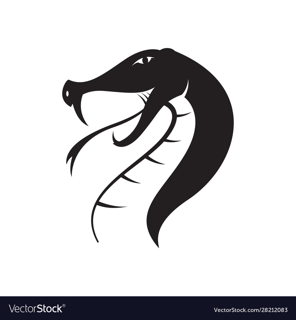Detail Snake Vector Png Nomer 42