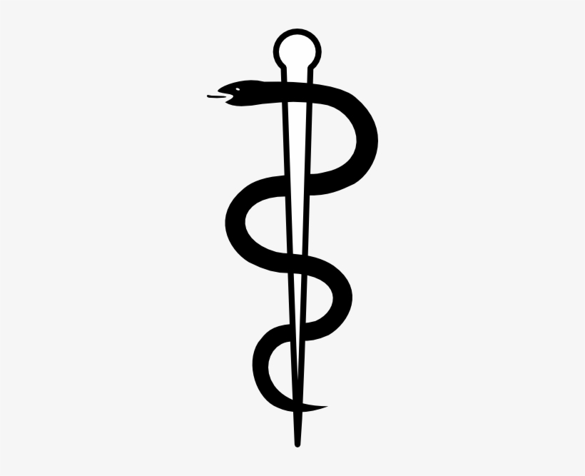 Detail Snake Vector Png Nomer 48