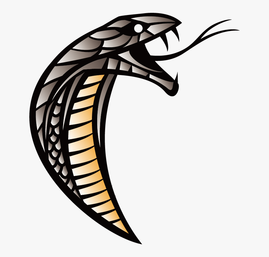 Detail Snake Vector Png Nomer 49