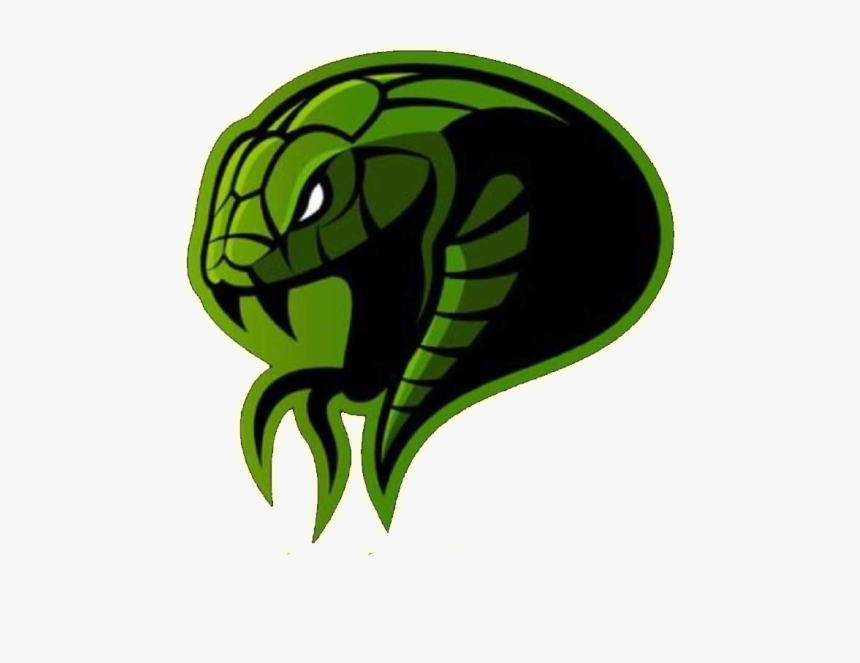 Detail Snake Vector Png Nomer 51