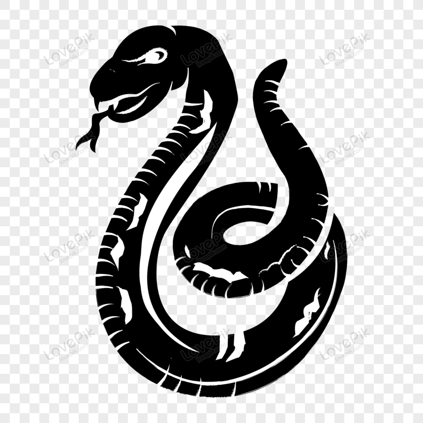 Detail Snake Vector Png Nomer 54