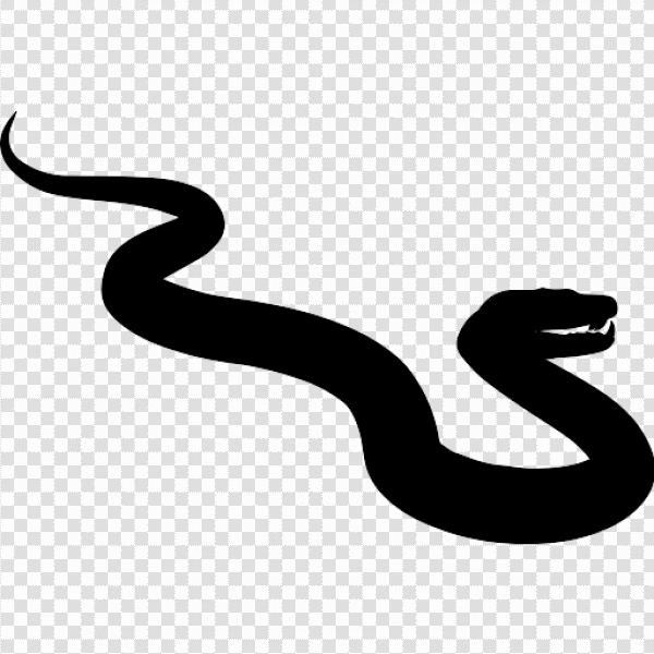 Detail Snake Vector Png Nomer 9