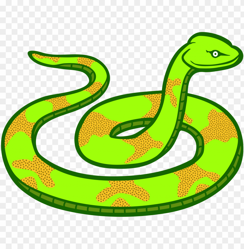 Detail Snake With Transparent Background Nomer 11