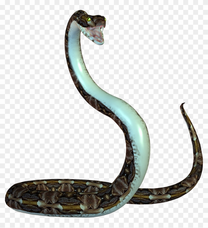 Detail Snake With Transparent Background Nomer 24