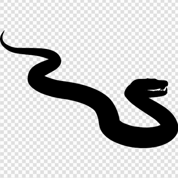 Detail Snake With Transparent Background Nomer 53