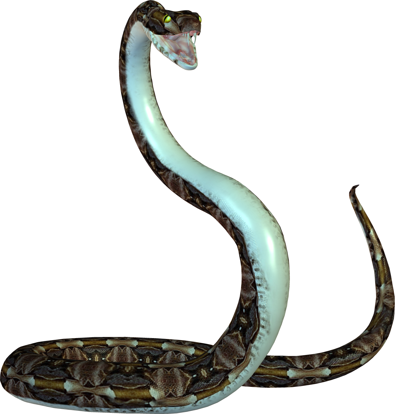 Detail Snakes Png Nomer 10