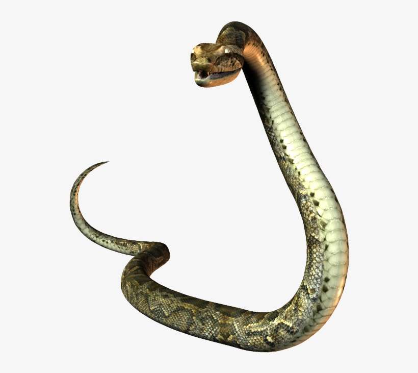 Detail Snakes Png Nomer 19