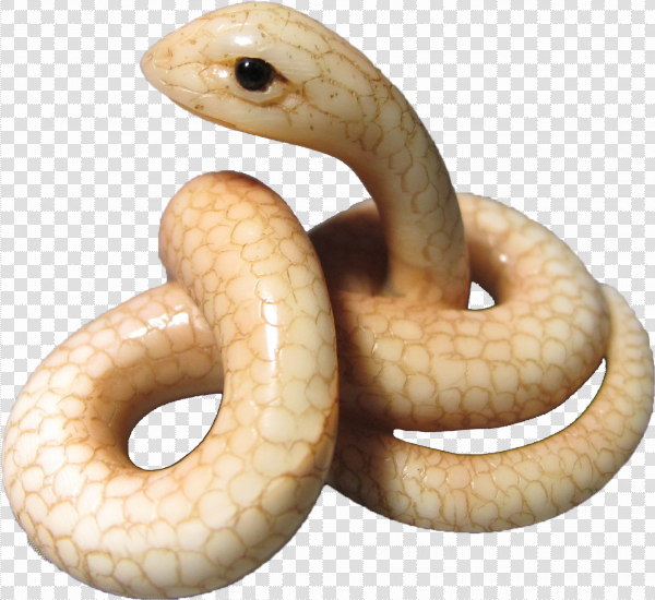 Detail Snakes Png Nomer 22