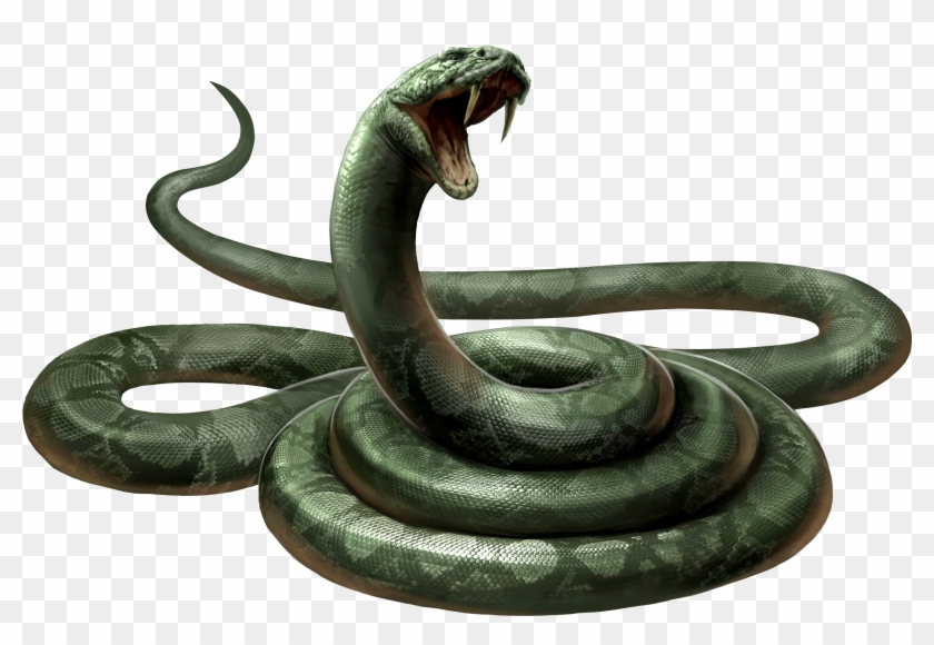 Detail Snakes Png Nomer 4