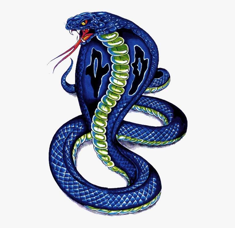 Detail Snakes Png Nomer 32