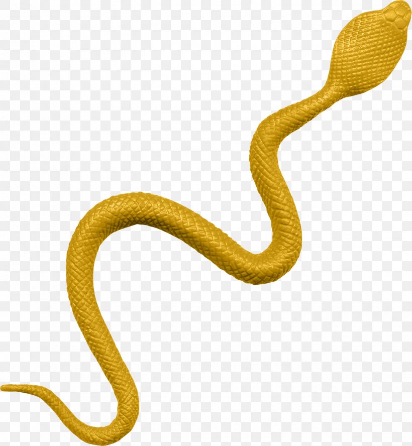 Detail Snakes Png Nomer 33