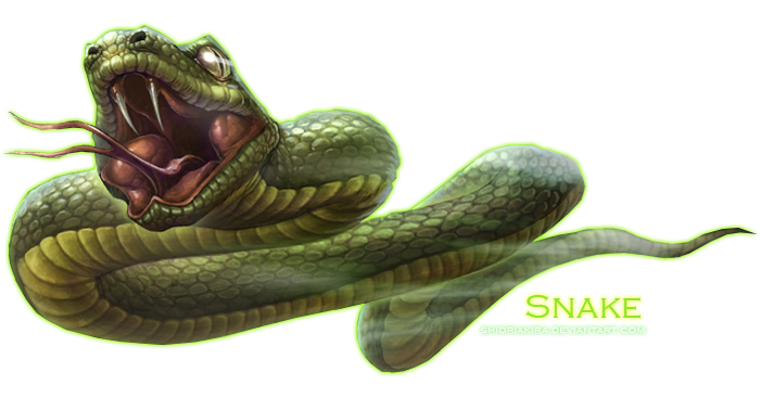 Detail Snakes Png Nomer 7