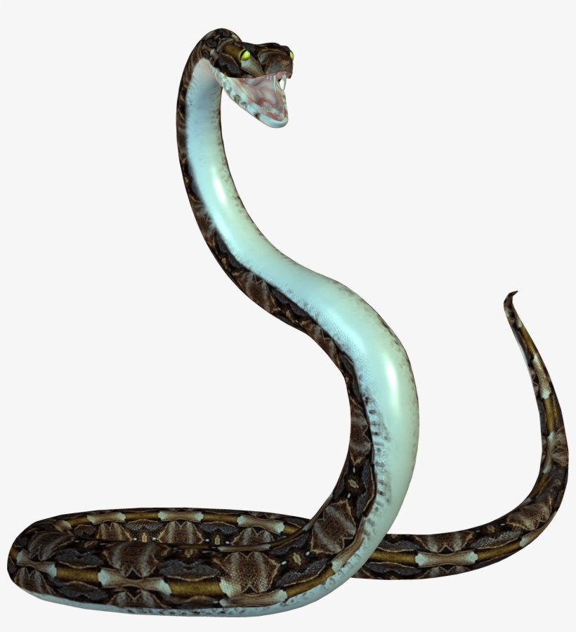 Detail Snakes Transparent Nomer 18