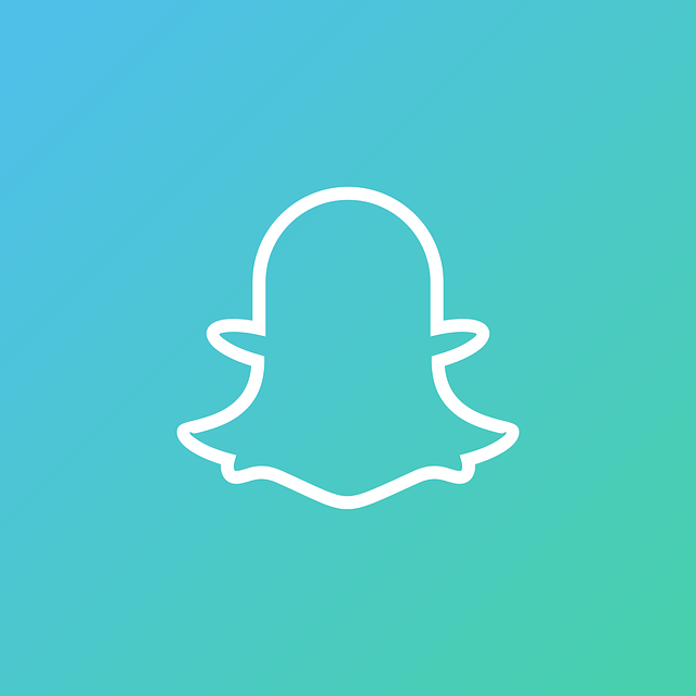 Detail Snapchat Logog Nomer 53