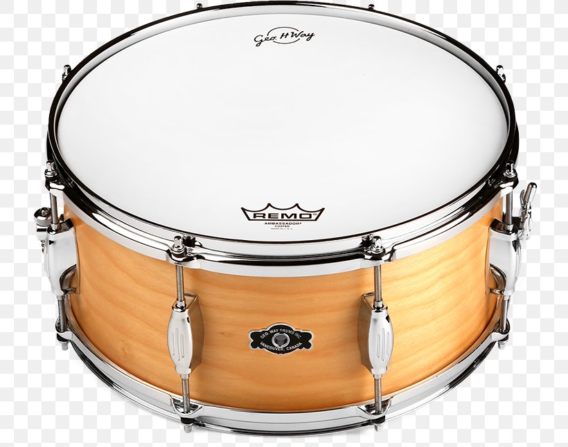 Detail Snare Real Drum Png Nomer 14