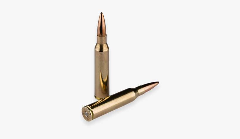 Detail Sniper Bullet Png Nomer 3