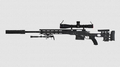 Detail Sniper Gun Image Nomer 43