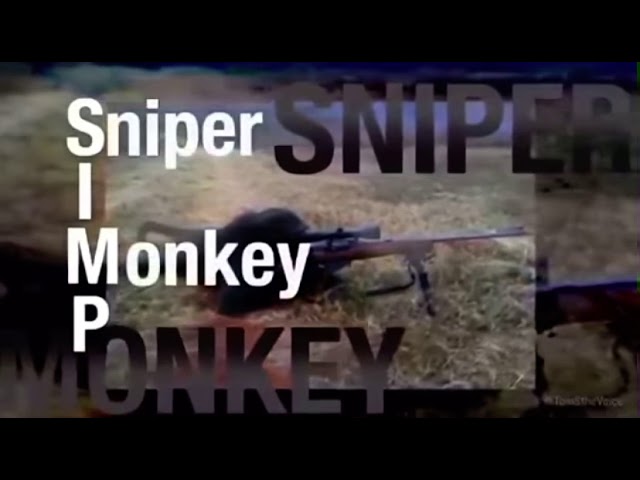 Detail Sniper Monkey Hoodie Nomer 29