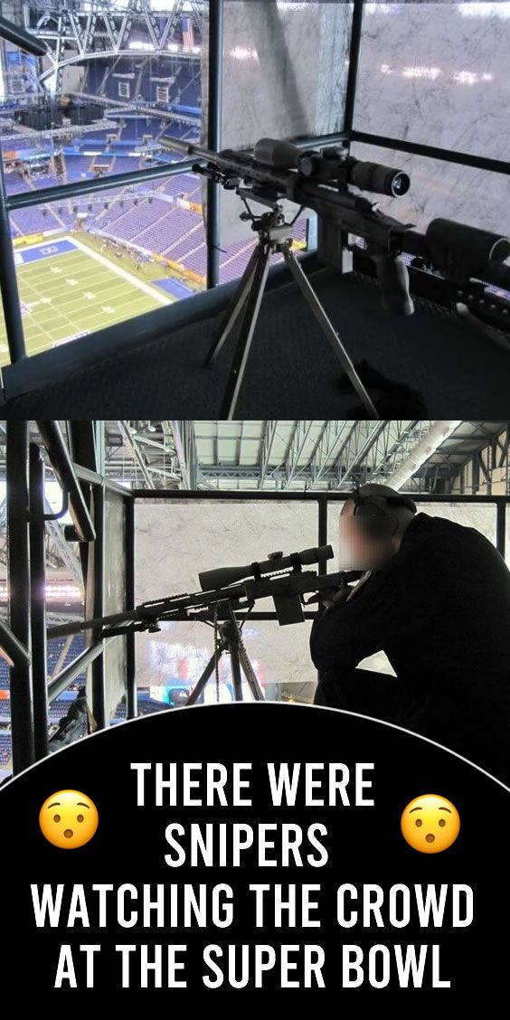 Detail Sniper Nest Super Bowl Nomer 22