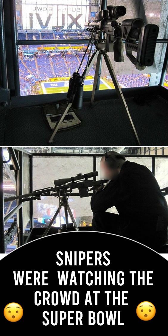 Detail Sniper Nest Super Bowl Nomer 23