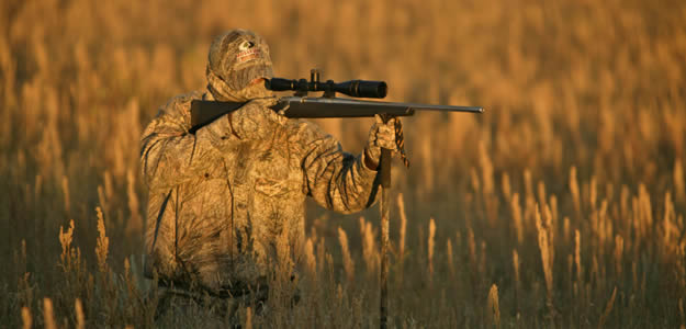 Detail Sniper Nest Super Bowl Nomer 49
