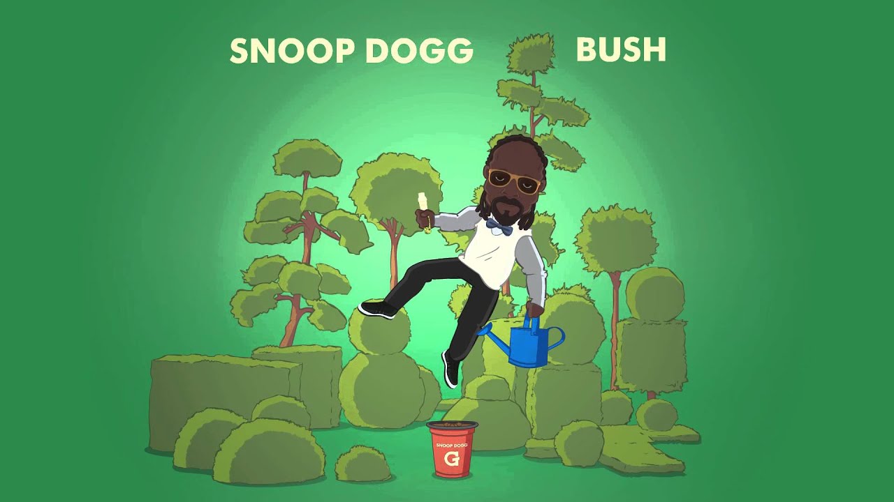 Detail Snoop Dogg Bush Gpro Nomer 26
