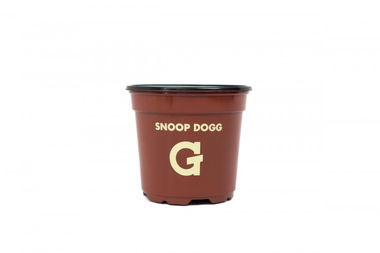 Detail Snoop Dogg Bush Gpro Nomer 28