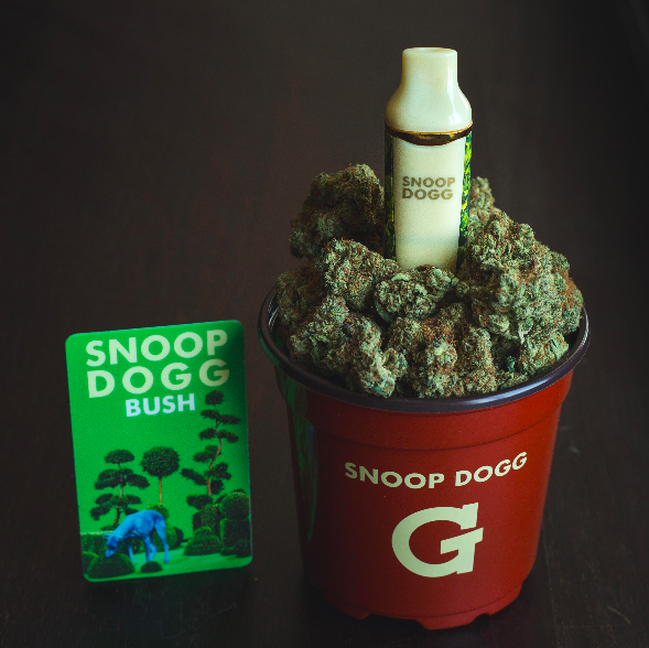 Detail Snoop Dogg Bush Gpro Nomer 4