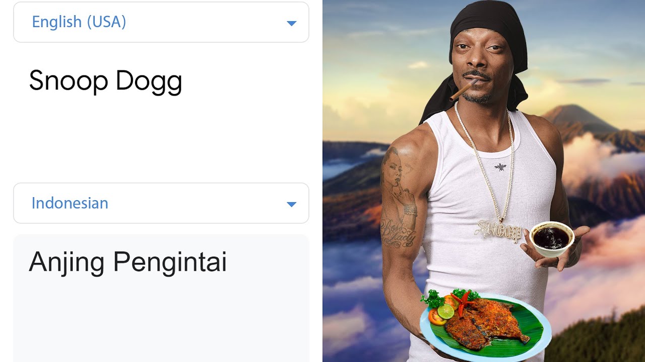 Detail Snoop Dogg Meme Nomer 11