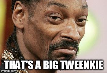 Download Snoop Dogg Meme Generator Nomer 10