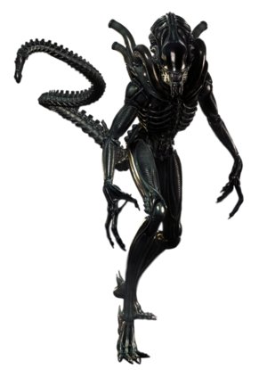 Detail Xenomorph Png Nomer 18