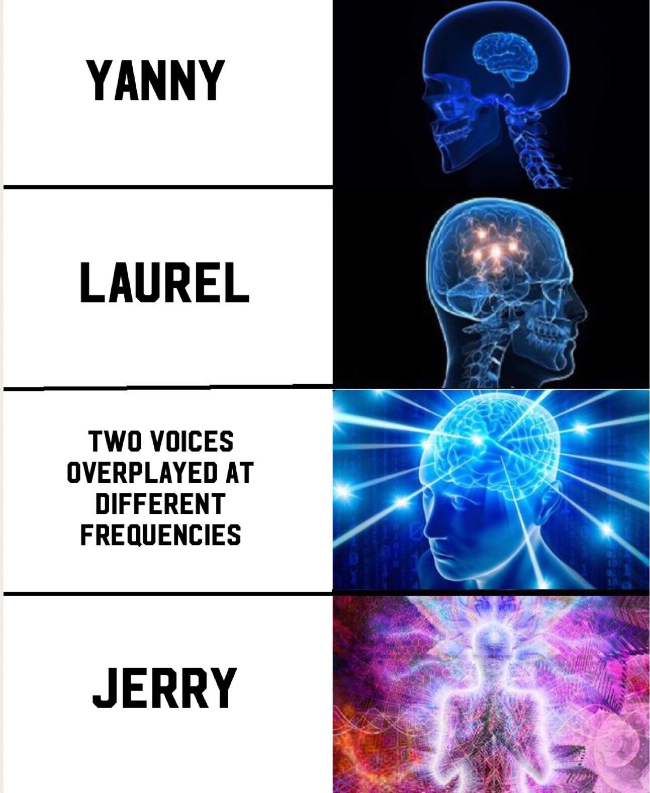 Detail Yanny Or Laurel Meme Nomer 20