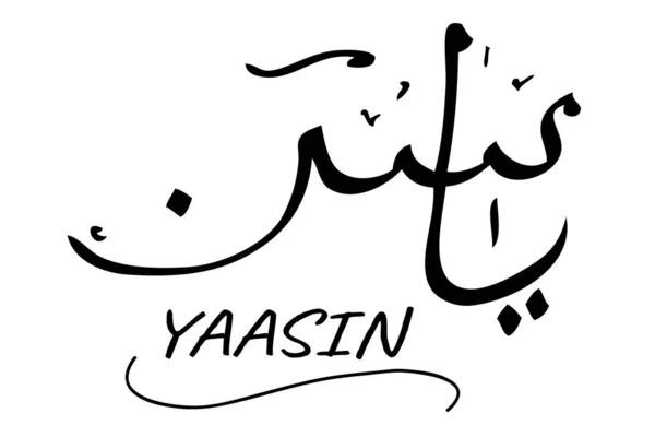 Detail Yasin Kaligrafi Vector Nomer 37