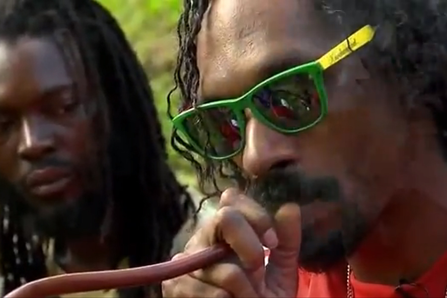 Detail Snoop Dogg Reincarnated Download Nomer 40