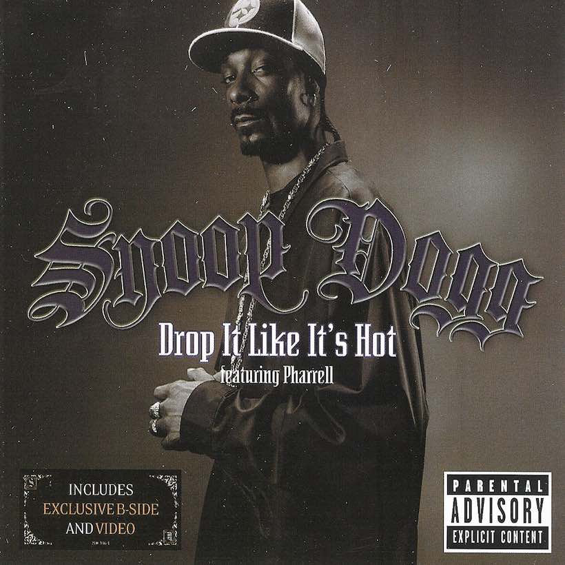 Detail Snoop Dogg Rhythm And Gangsta Album Download Nomer 19