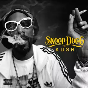 Detail Snoop Dogg Rhythm And Gangsta Album Download Nomer 34