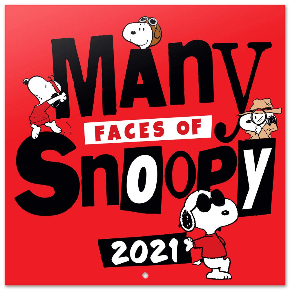 Detail Snoopy 2021 Wall Calendar Nomer 45