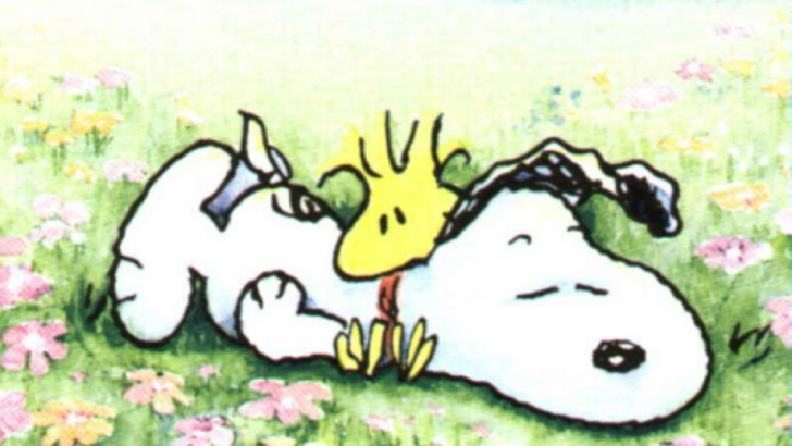Detail Snoopy Backrounds Nomer 24