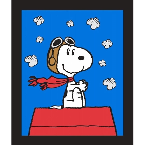 Detail Snoopy Cartoon Pictures Nomer 34