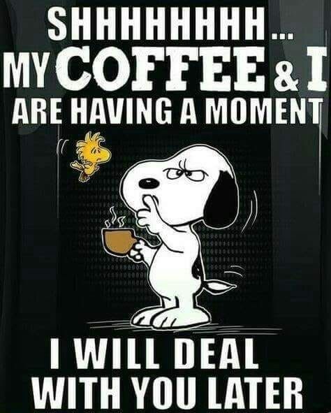 Detail Snoopy Coffee Meme Nomer 9