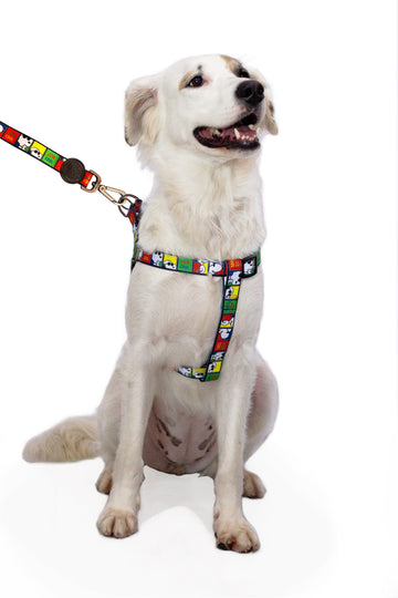 Detail Snoopy Dog Collar And Leash Nomer 34