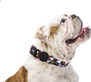 Detail Snoopy Dog Collar And Leash Nomer 36
