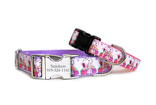 Detail Snoopy Dog Collar And Leash Nomer 52