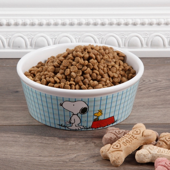 Detail Snoopy Dog Food Bowl Nomer 42