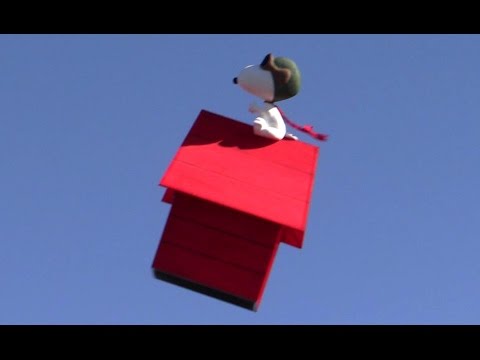 Detail Snoopy Dog House Drone Nomer 15