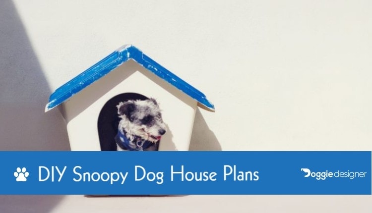 Detail Snoopy Dog House Template Nomer 14