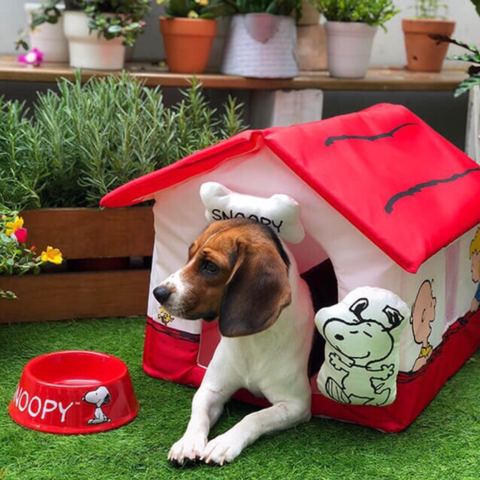 Detail Snoopy Dog House Tent Nomer 49